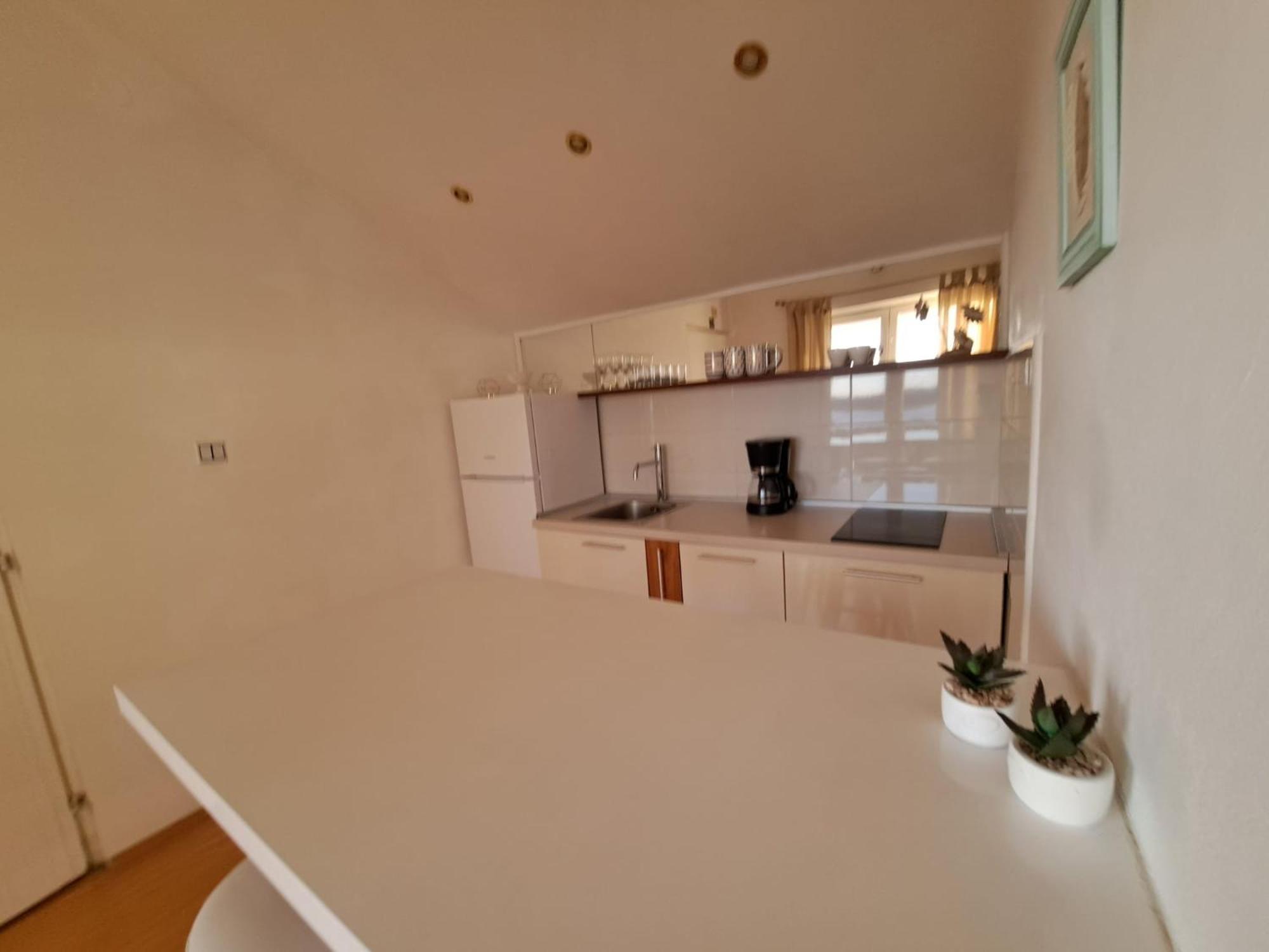 Apartments Ana Zaboric, 50 M Od Sljuncane Plaze 外观 照片